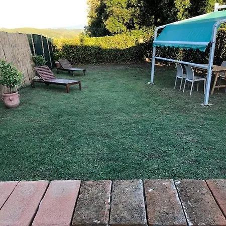 A Schiera Nei Pressi Del Mare *